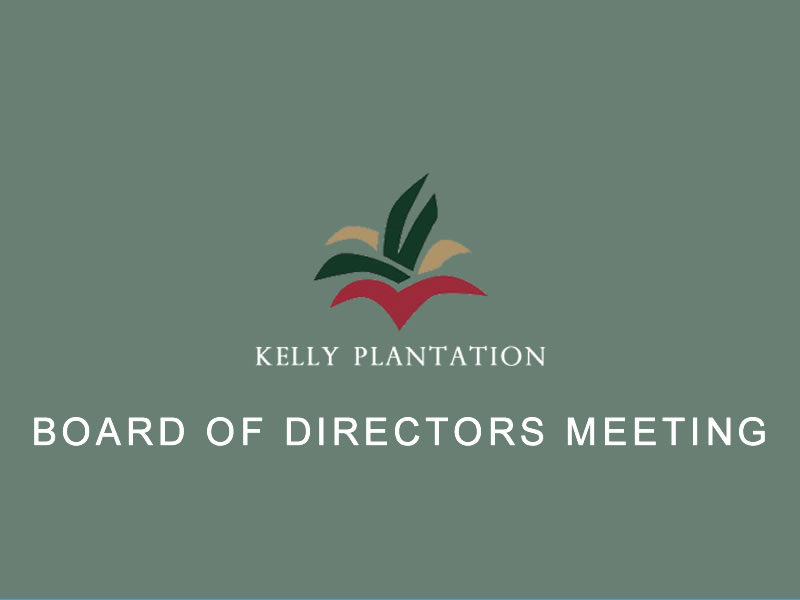 Board of Directors Meeting