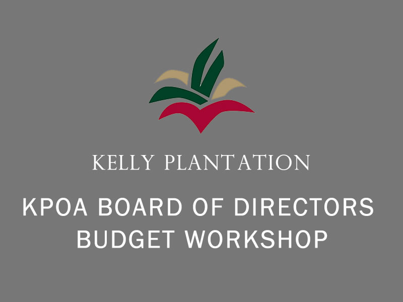 Budget Workshop
